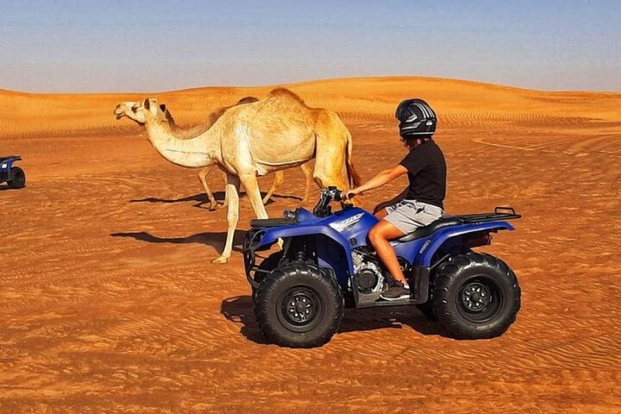 Riding Adventure – 2 Hours Hurghada
