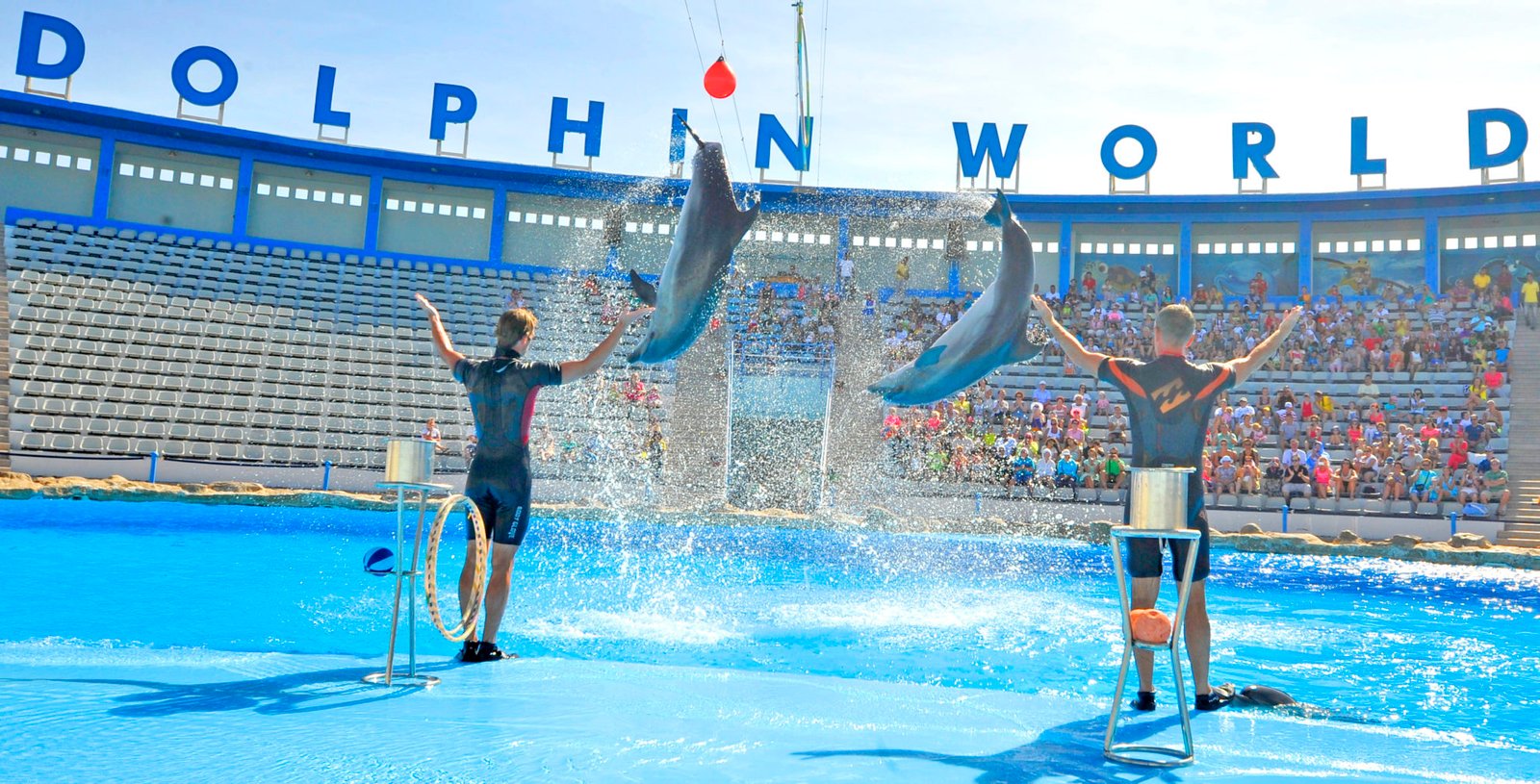 Dolphin Show Hurghada {Swim is Extra}