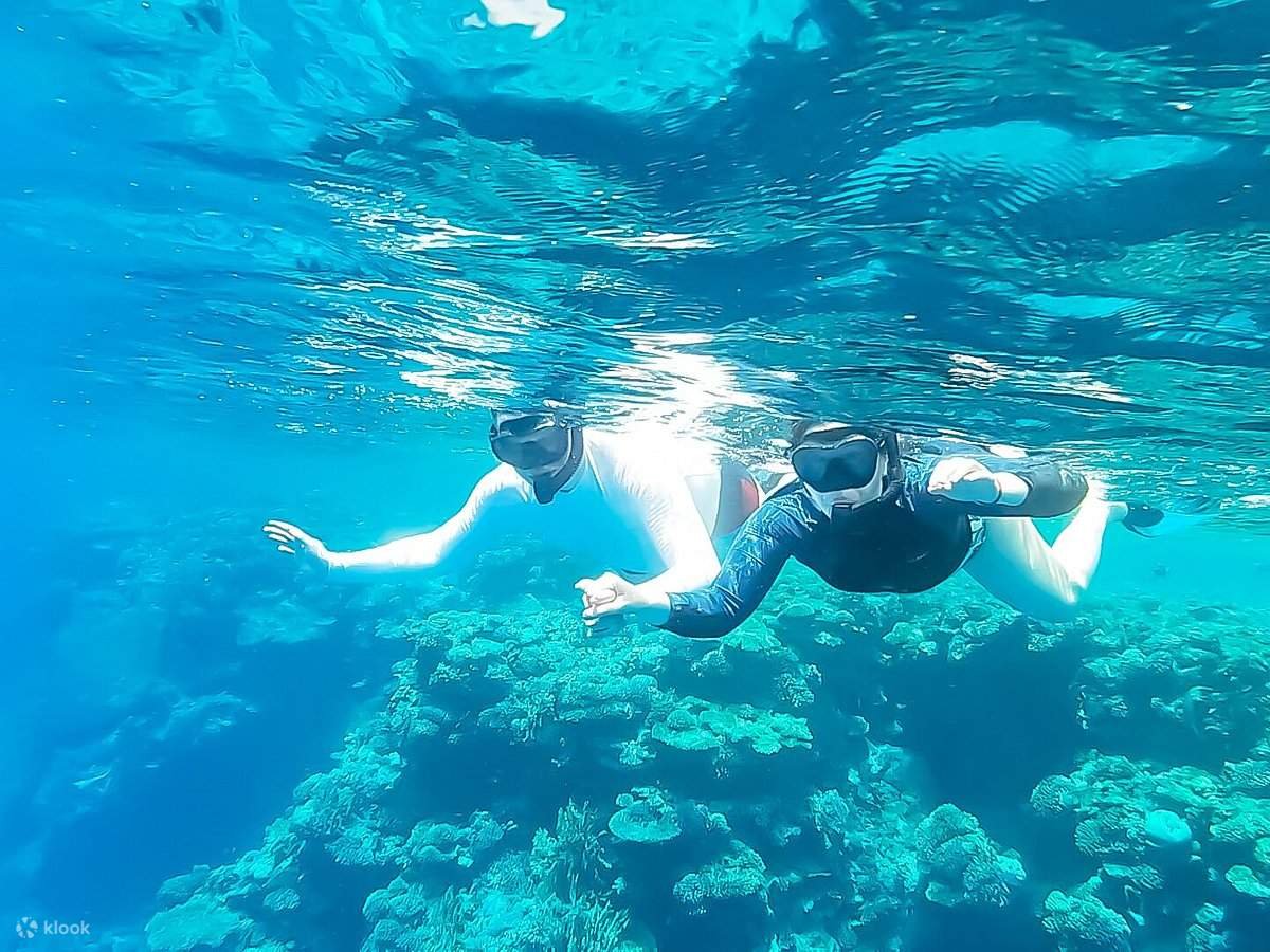 Private Speed Boat Trip – 4 Hours